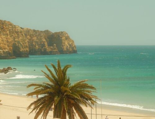 Top 5 beaches for beginner surfers in Algarve