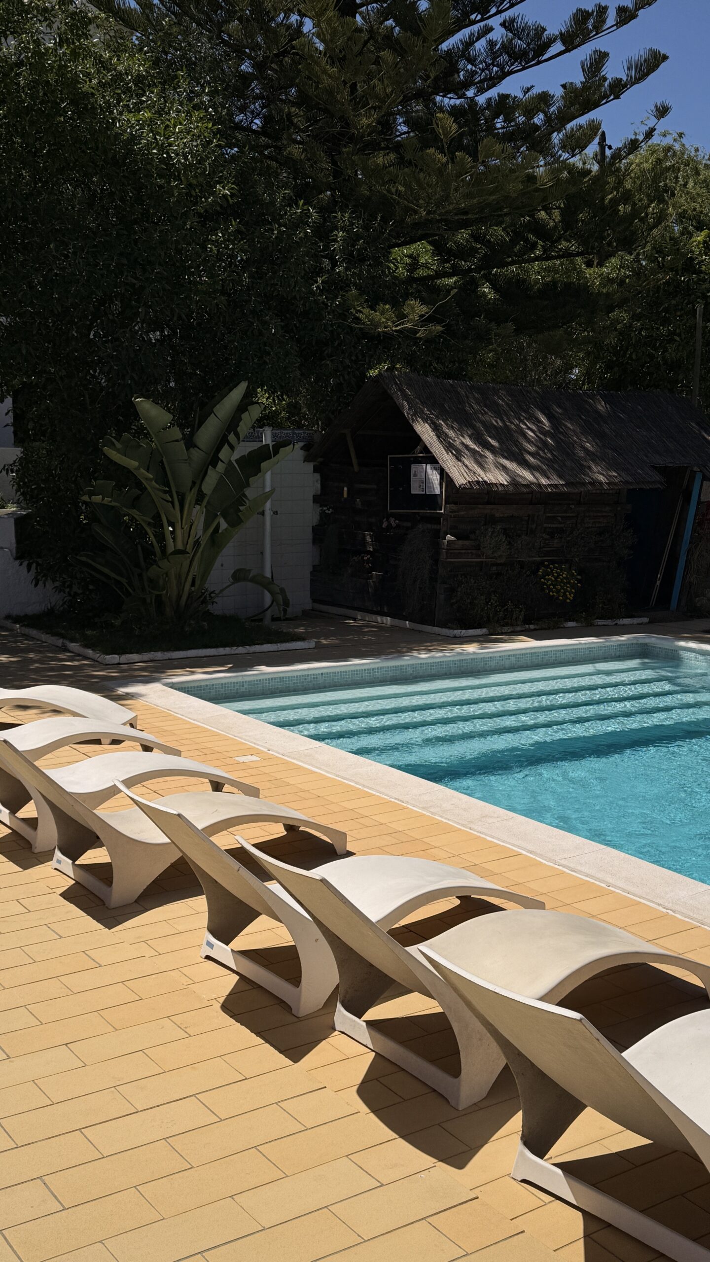 Kitehouse garden and camp spaces at Algarve Watersport 2025